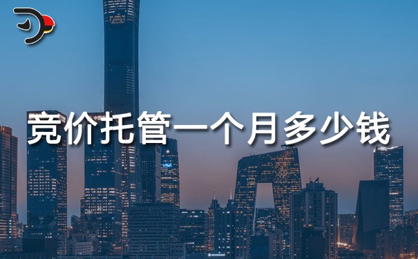 chat竞价托管一个月多少钱.jpg
