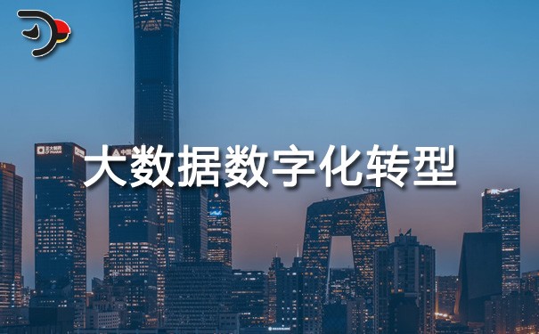 chat大数据数字化转型.jpg