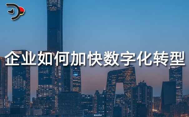 chat企业如何加快数字化转型.jpg