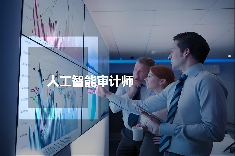 AI审计